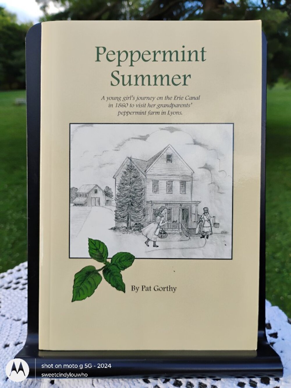Peppermint Summer by Pat Gorthy SIGNED by author canal historical novel Lyons NY